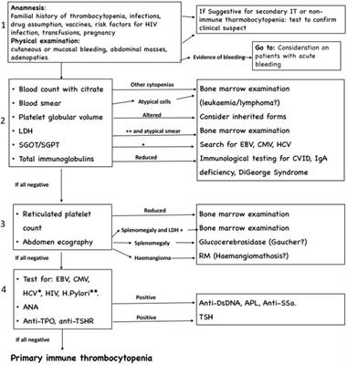 The Centenary of Immune Thrombocytopenia—Part 2: Revising Diagnostic and Therapeutic Approach